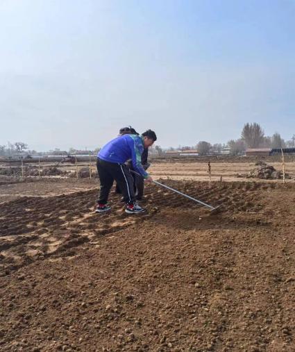 北沙参培土-赵伟强先生